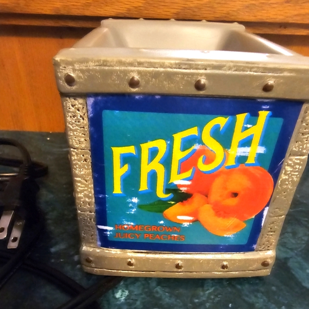 Scentsy Wax Warmer